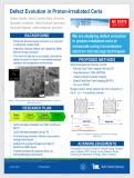 Defect Evolution in Proton Irradiated Ceria